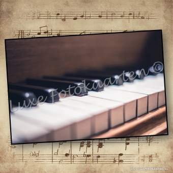 Blanco Muziek - piano